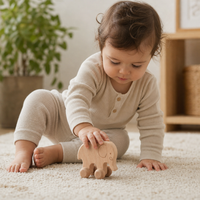 Child playing with the Elephant Push Toy on Wheels