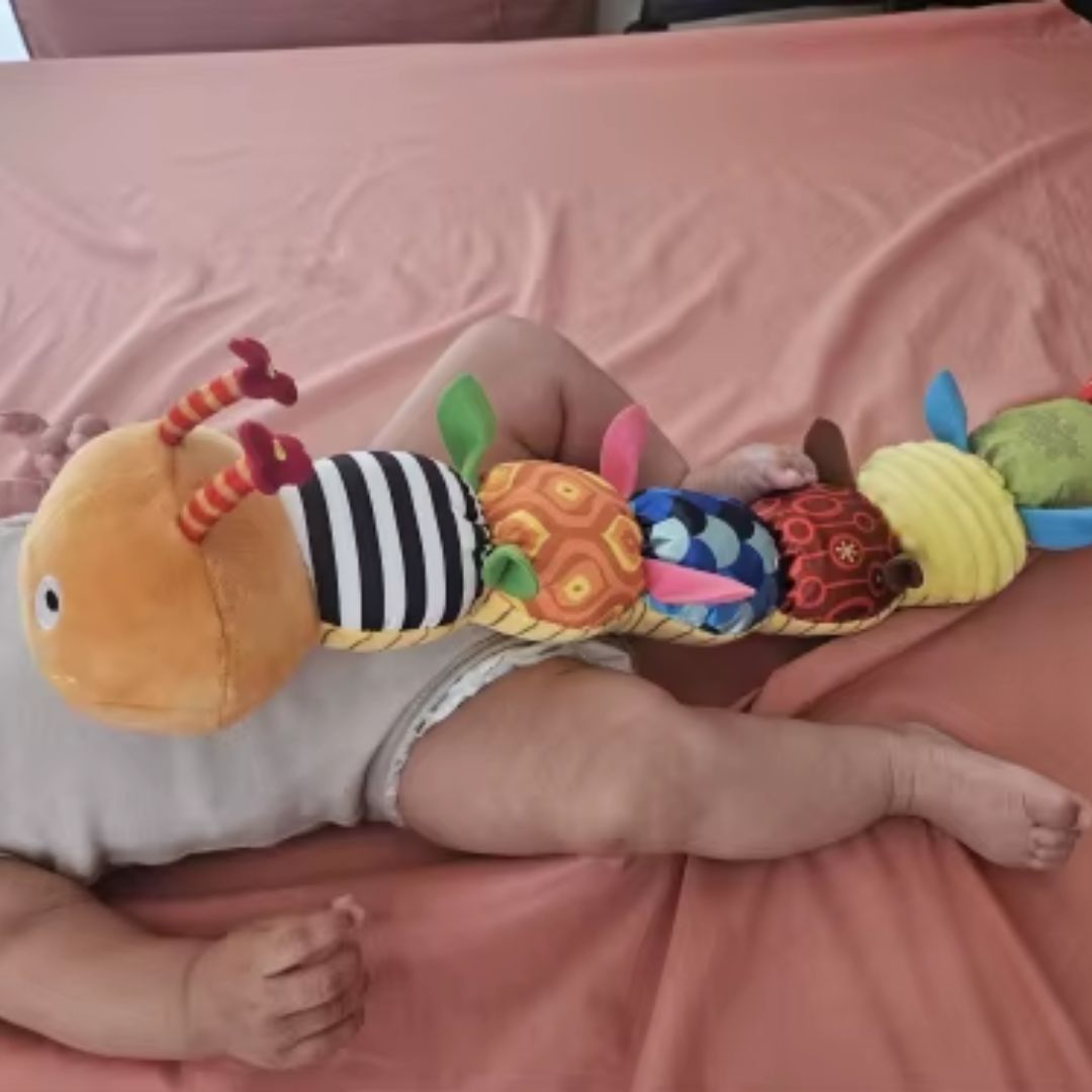 Montessori Musical Animal Reviewer Picture Image